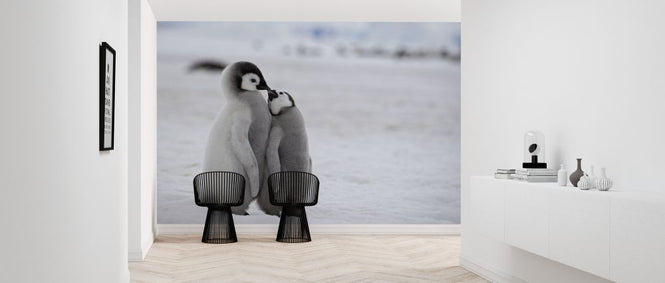 PHOTOWALL / Emperor Penguins (e325053)