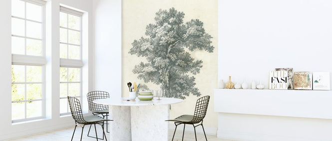 PHOTOWALL / Tree Study (e325363)