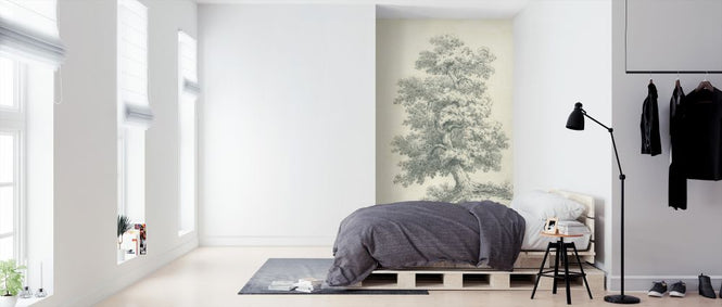 PHOTOWALL / Tree Study II (e325364)