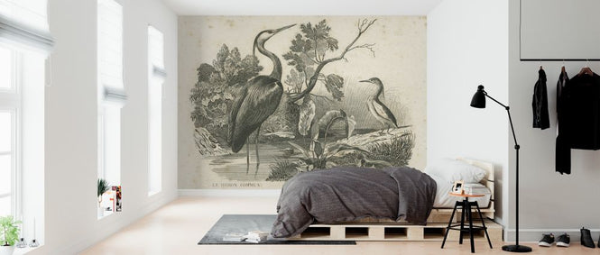PHOTOWALL / French Birds (e325798)