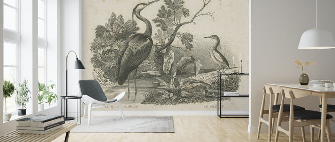 PHOTOWALL / French Birds (e325798)