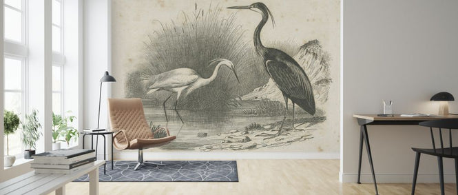 PHOTOWALL / French Birds II (e325799)
