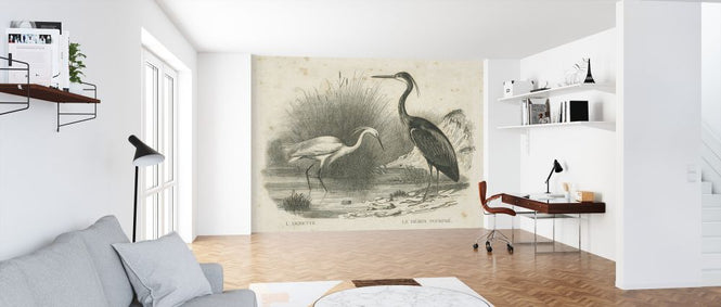 PHOTOWALL / French Birds II (e325799)