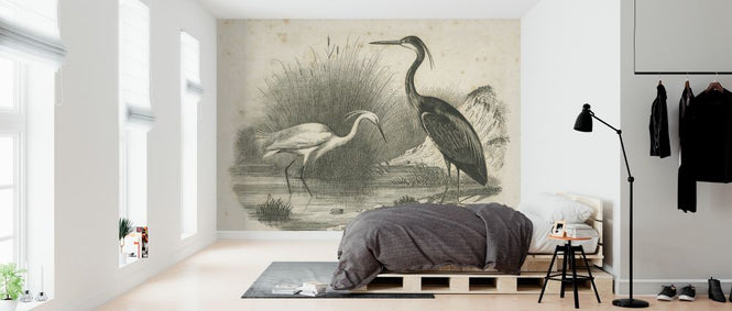 PHOTOWALL / French Birds II (e325799)