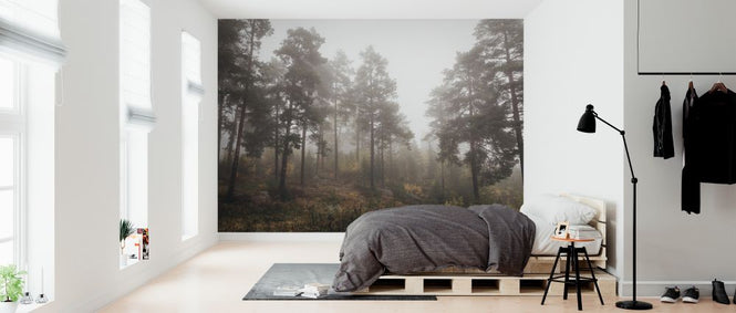 PHOTOWALL / Moody Fall in the Forest (e328158)