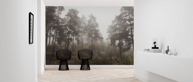 PHOTOWALL / Moody Fall in the Forest (e328158)
