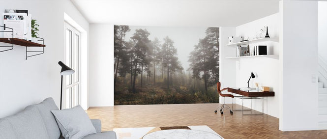 PHOTOWALL / Moody Fall in the Forest (e328158)