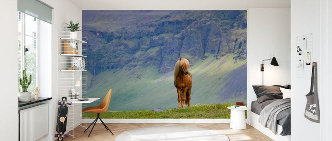 PHOTOWALL / Horse in Grassland (e327030)