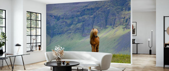 PHOTOWALL / Horse in Grassland (e327030)