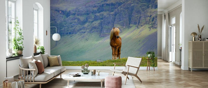 PHOTOWALL / Horse in Grassland (e327030)