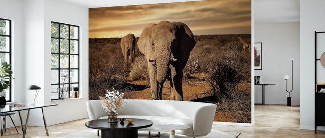 PHOTOWALL / Big (e327072)