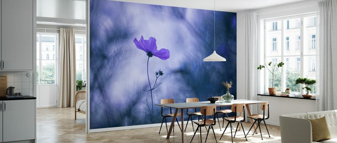 PHOTOWALL / Blue Dream (e327086)