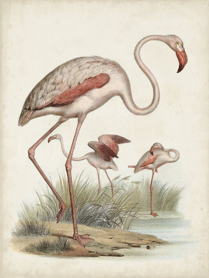 PHOTOWALL / Antique Waterbirds IV (e327300)
