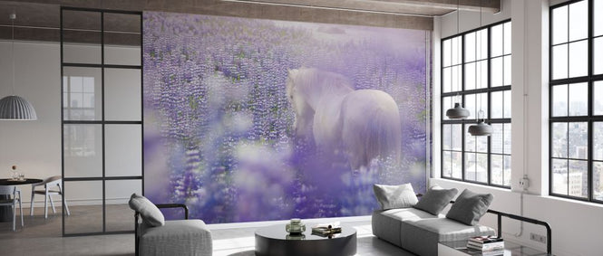 PHOTOWALL / Horse in Lupin Field IV (e327330)