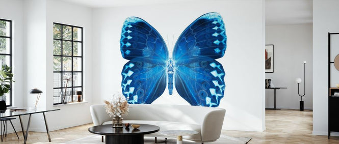 PHOTOWALL / Miss Butterfly X-Ray - Formosana (e328562)