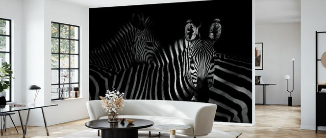 PHOTOWALL / Zebras (e328168)
