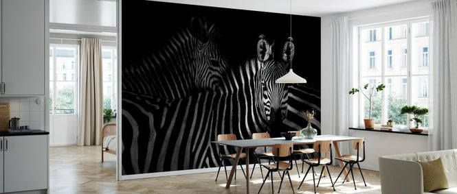 PHOTOWALL / Zebras (e328168)