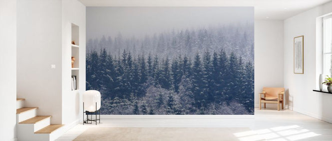 PHOTOWALL / Frozen Trees (e328177)