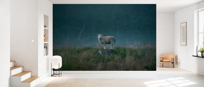 PHOTOWALL / Moody Sheep (e328179)