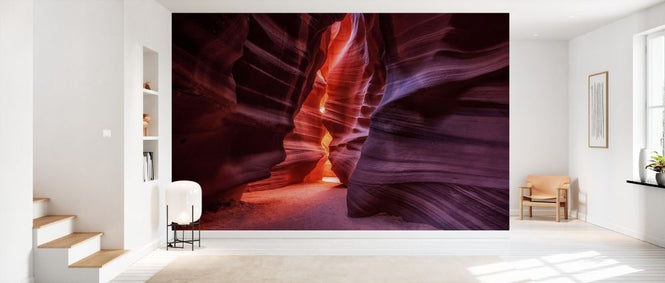 PHOTOWALL / Antelope (e328192)