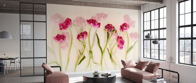PHOTOWALL / Tulips (e328507)