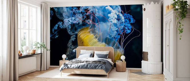 PHOTOWALL / Underwater Dancer (e328519)