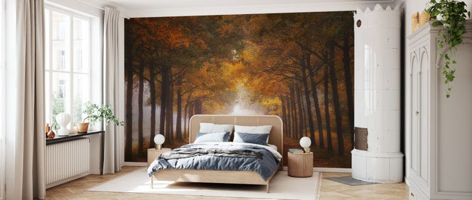 PHOTOWALL / Foggy Autumn Dream (e328527)
