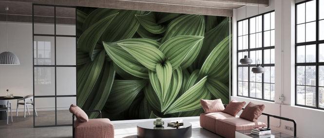 PHOTOWALL / Corn Lily (e327941)