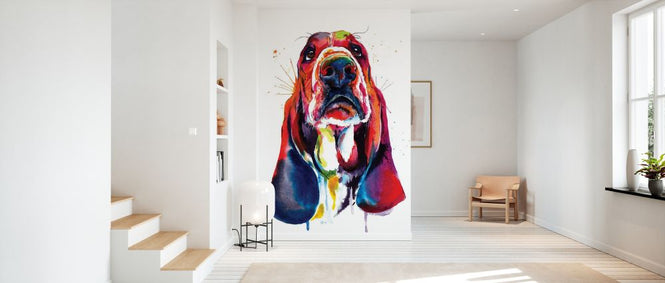PHOTOWALL / Basset (e329036)