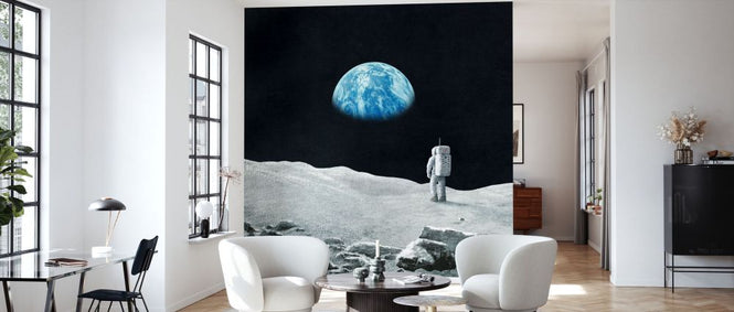 PHOTOWALL / Earthrise (e330757)