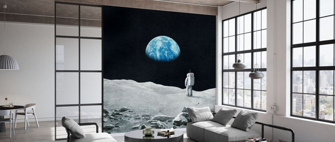 PHOTOWALL / Earthrise (e330757)