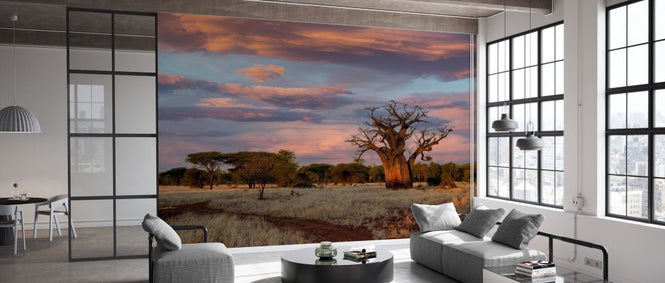 PHOTOWALL / Baobab Landscape (e331476)