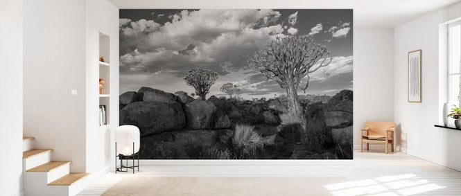 PHOTOWALL / Rocks and Trees - BW (e331493)