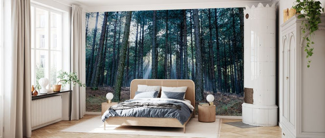 PHOTOWALL / Forest Landscape II (e331501)