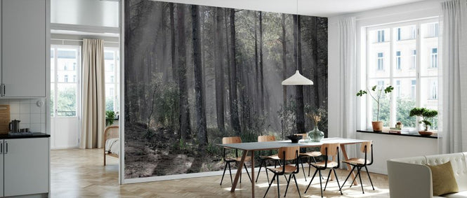 PHOTOWALL / Hardwood Forest (e331503)