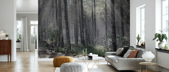 PHOTOWALL / Hardwood Forest (e331503)