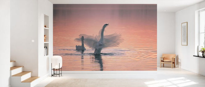 PHOTOWALL / Dancing for You (e331187)