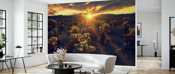 PHOTOWALL / Kingdom of Chola (e331197)