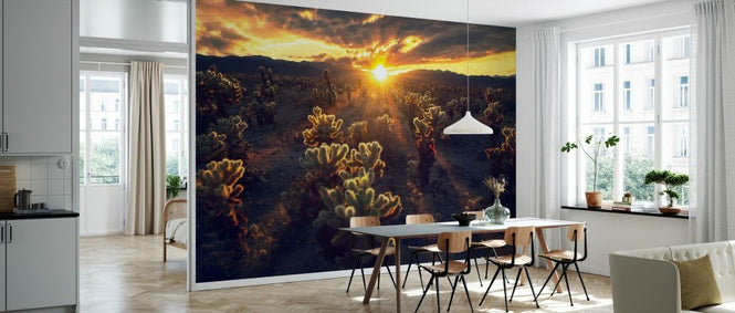 PHOTOWALL / Kingdom of Chola (e331197)