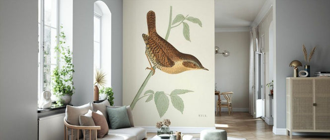 PHOTOWALL / Engraved Birds (e330860)