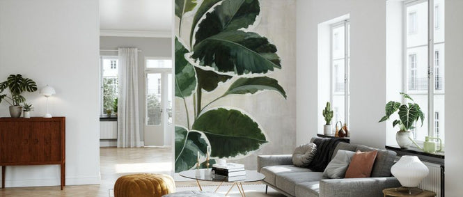 PHOTOWALL / Tropical Study (e330970)