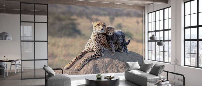 PHOTOWALL / Cheetah and Cup (e331580)