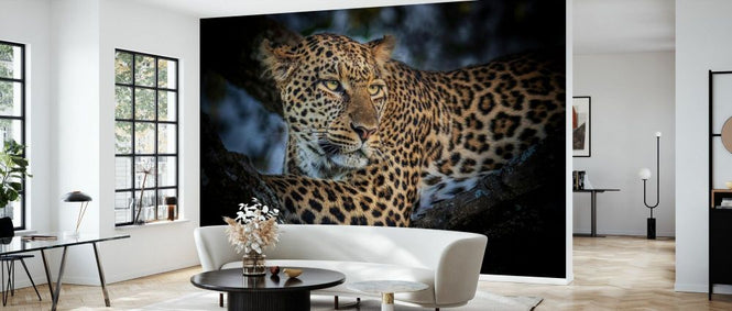 PHOTOWALL / Leopard (e331598)