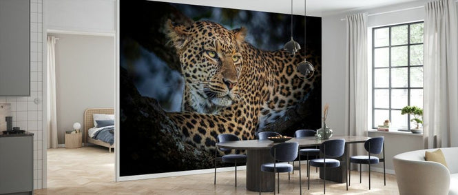 PHOTOWALL / Leopard (e331598)