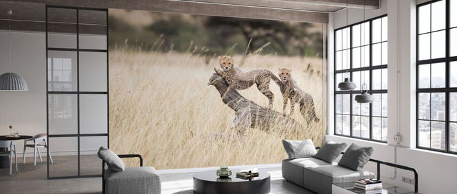 PHOTOWALL / Cheetah Cubs (e331601)