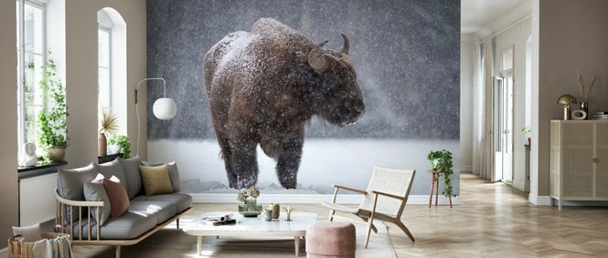 PHOTOWALL / Bison (e331643)