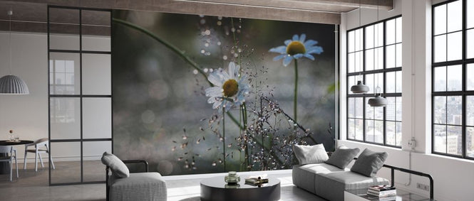 PHOTOWALL / Summer Jewelry (e332938)