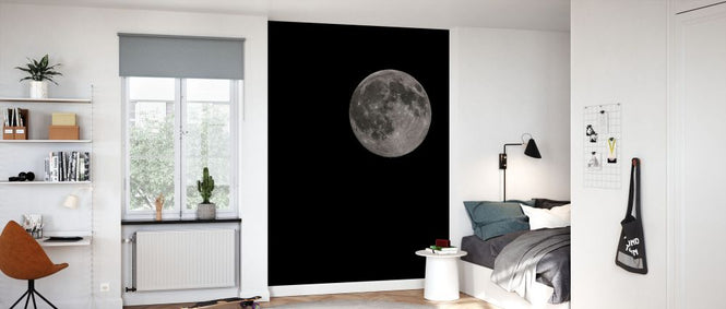 PHOTOWALL / Moon Detail (e331825)