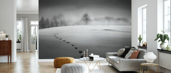 PHOTOWALL / Winter Scenery (e331955)