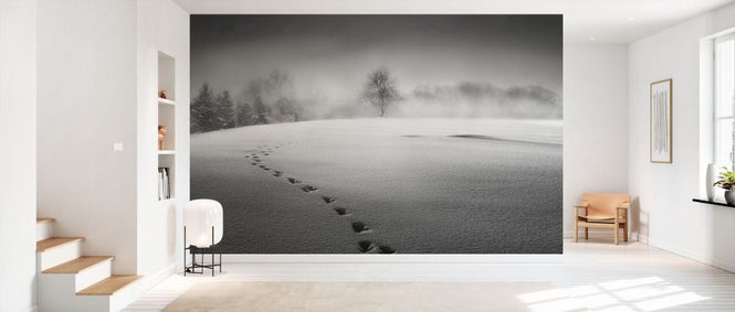 PHOTOWALL / Winter Scenery (e331955)